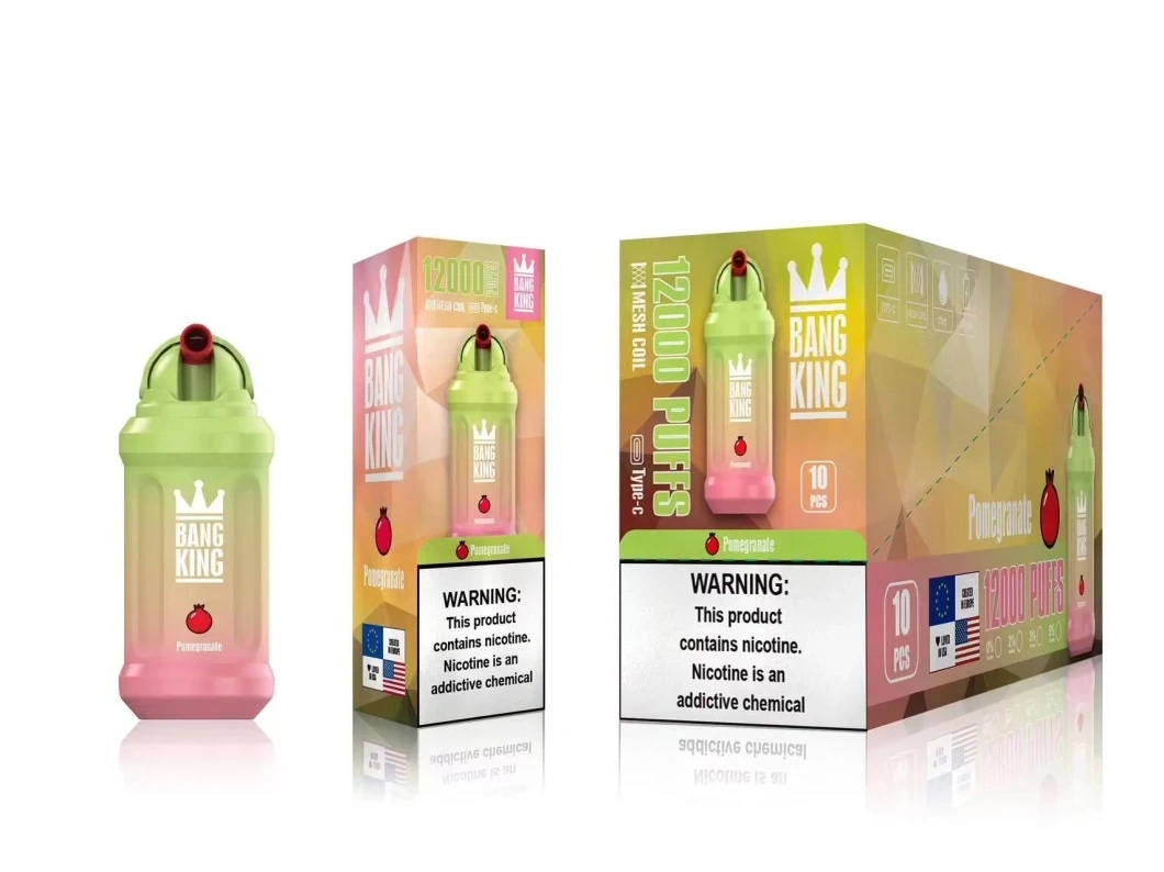 Wholesale Electronic Cigarette Bang King Max 12000puffs Disposable Vape 600mAh Rechargeable