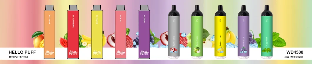 Type C Charging Port 4500puffs Rechargeable E-Cigarette Custom Flavor and Packaging Disposable Vape